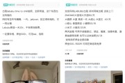 梦见剪发闲鱼：LABUBU搜索量环比上涨1000%，供不应求下现租赁新形式