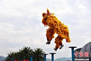 梦见剪发（文化中国行）壮乡狮舞闯南洋：脚踏“云桩” 饮誉海内外